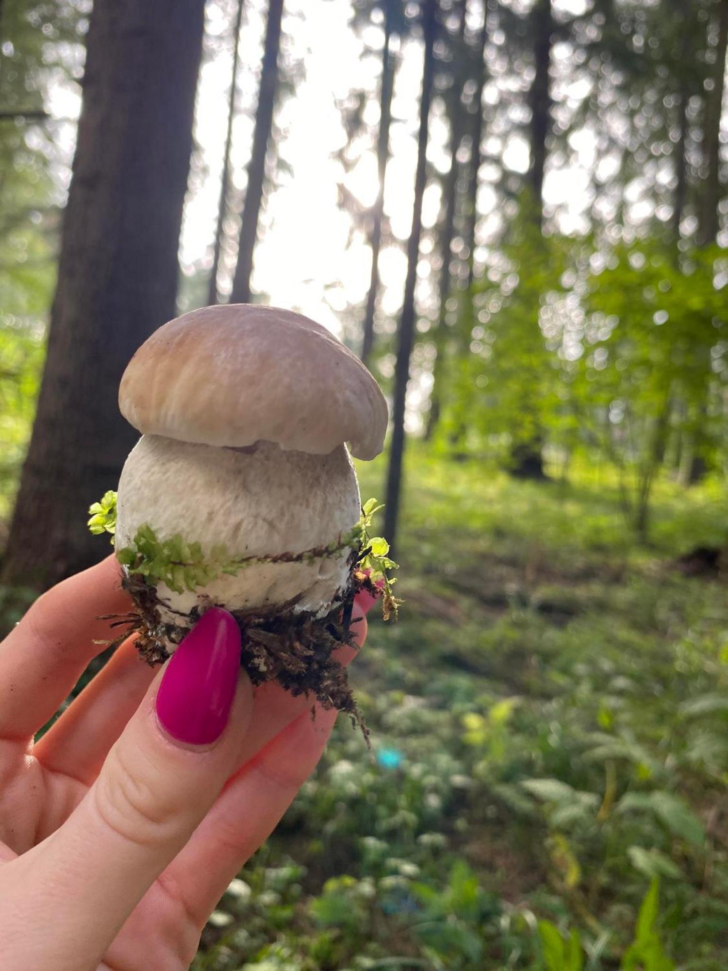 Apartament Beztroski Ustrzyki Dolne Bagian luar foto